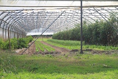 Martin Mélanie, Primeur Fruits et Légumes à Saint-Pierre-du-Mont