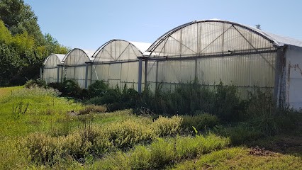 Gratadour Jean Pierre, Primeur Fruits et Légumes au Haillan