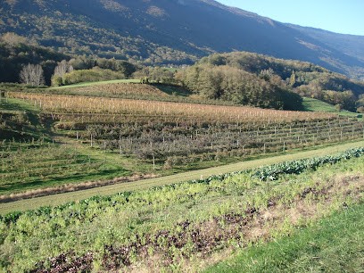 BILLARD Exploitation Agricole, Primeur Fruits et Légumes à La Motte-Servolex