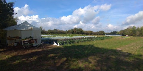 De La Planchette à La Fourchette, Primeur Fruits et Légumes à Montbert