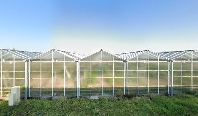 Ferme Du Bois De Leppo, Primeur Fruits et Légumes à Sainte-Gemmes-sur-Loire