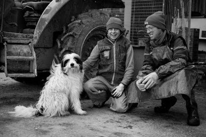 EARL Légumes Brionne, Primeur Fruits et Légumes à Saint-Denis-le-Vêtu