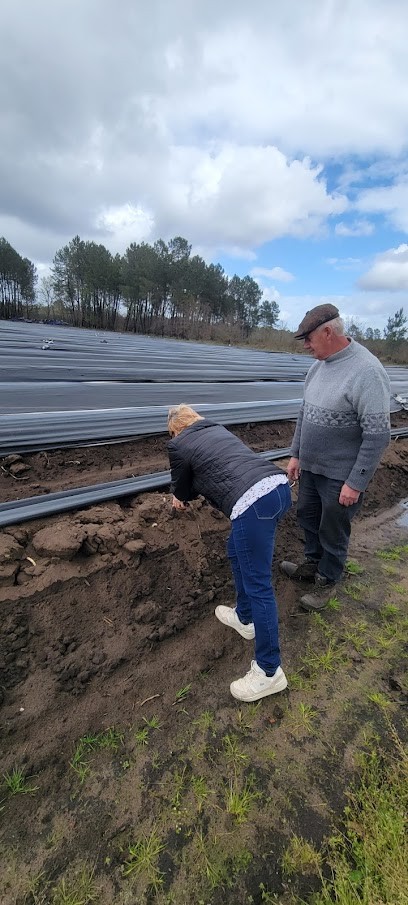 De Bignac SCEA, Primeur Fruits et Légumes à Belhade