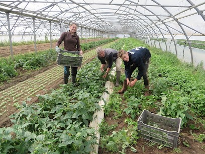Sarl La Jeannette, Primeur Fruits et Légumes à Limas