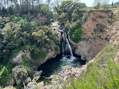 Les Paniers Du Capelan, Primeur Fruits et Légumes à La Motte