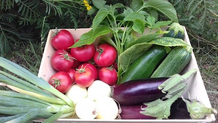 Ferme Maraîchère La Houlette, Primeur Fruits et Légumes à Camoël