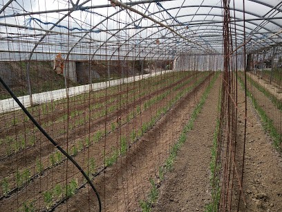Asselborn Stephanie, Primeur Fruits et Légumes à Belberaud