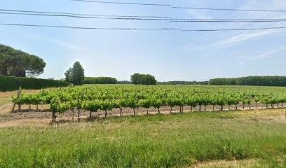 Flandrais Laurent, Primeur Fruits et Légumes à Saint-Girons-d'Aiguevives