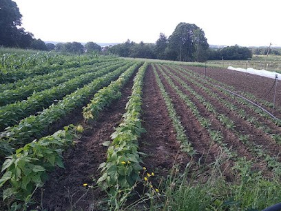Les Jardins d'hélène, Primeur Fruits et Légumes à Bersac-sur-Rivalier