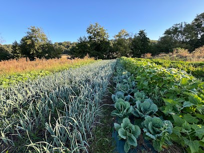 le petit jardin dans la prairie, Primeur Fruits et Légumes au Grand-Pressigny