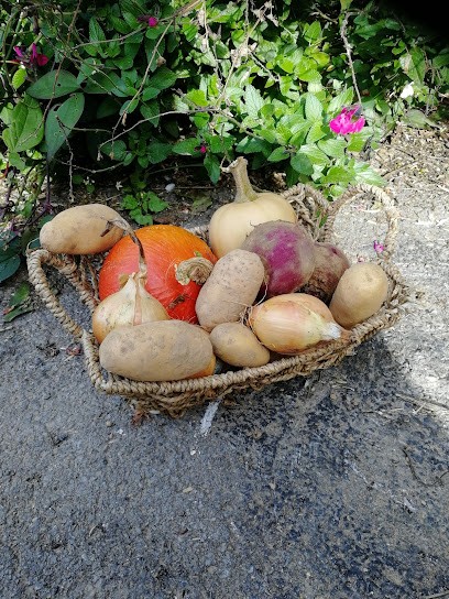 Maraichage bio/ Légumes bio /le jardin bio de Mathilde, Primeur Fruits et Légumes à Saint-Quentin-le-Petit