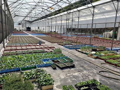 Les Plants Des Joannets / Gaec Des Joannets, Primeur Fruits et Légumes à Saint-Martin-en-Haut