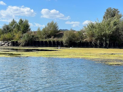 Aux Maraichers Provence, Primeur Fruits et Légumes à Puget-sur-Argens