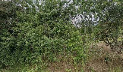 Hérault Laurent, Primeur Fruits et Légumes au Breuil-Bernard