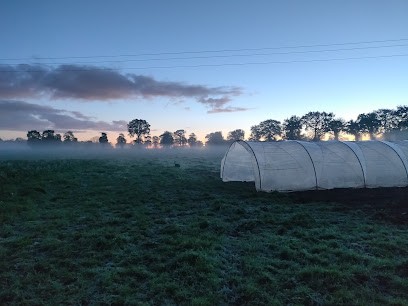 Les Maraîchers Des 4 Chemins, Primeur Fruits et Légumes à Rennes