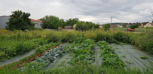Le Paradis De Colette, Primeur - Fruits Et Légumes à Pfaffenheim