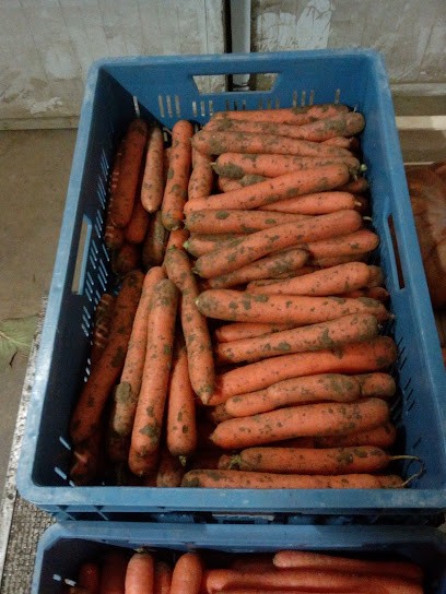Earl La Ferme Des Amalets, Primeur Fruits et Légumes à Douvrin