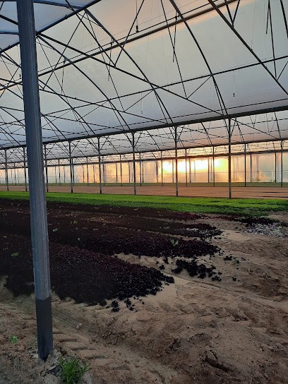 L'Ebaupin, Primeur Fruits et Légumes à Villeneuve-en-Retz
