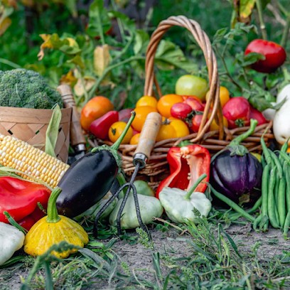 Touche à La Terre - Marc Delineau & Jêrome Mazereau, Primeur Fruits et Légumes au Poiré-sur-Vie