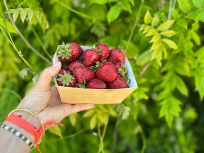 Les Jardins De La Patte D'Oie, Primeur Fruits et Légumes à Saint-Cyr-en-Val