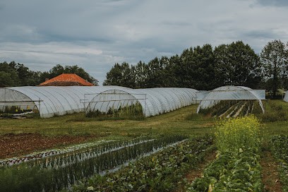 Les P' Tilh Légumes, Primeur Fruits et Légumes à Tilh