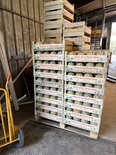 Melon de la Venise Verte, Primeur Fruits et Légumes à Doix lès Fontaines