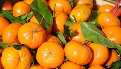 Iberibon SAS, Primeur Fruits et Légumes à Rhinau