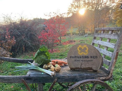Papillons & Co - ferme maraîchère, Primeur Fruits et Légumes à Neuvic