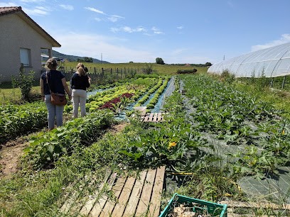 Jardin De Jean Louis, Primeur Fruits et Légumes à Simandre-sur-Suran