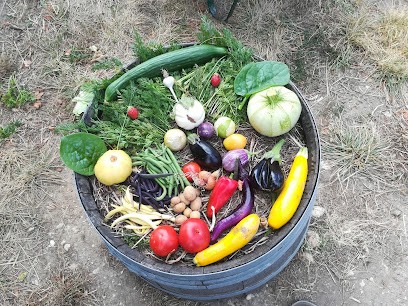 GAEC Au Rythme des Lombrics, Primeur Fruits et Légumes à Dolus-d'Oléron