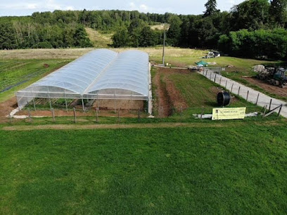 Les Légumes De La Ga, Primeur - Fruits Et Légumes à Hennezel