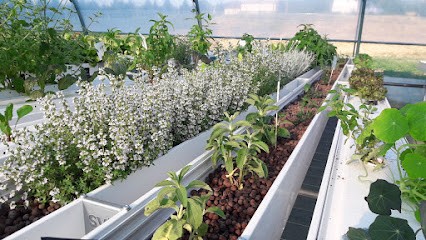 Carpe et Capucine - ferme aquaponique, Primeur Fruits et Légumes à Loriol-sur-Drôme
