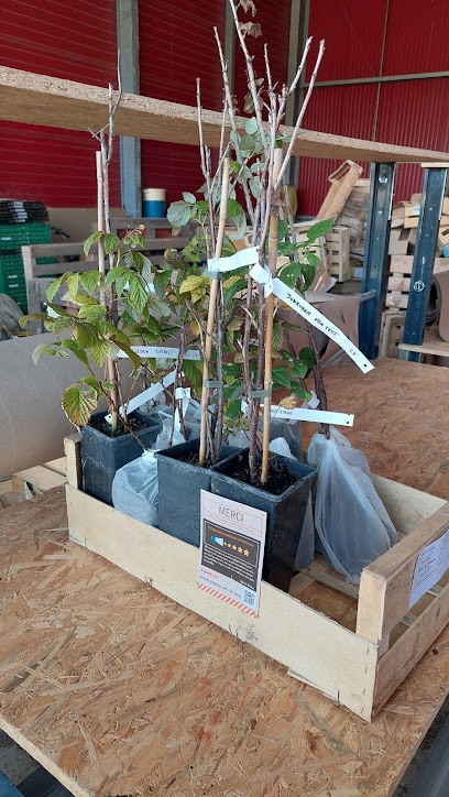 Les Herbes Folles, Primeur Fruits et Légumes à Wavrin