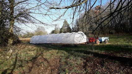 Lessac'crés Légumes, Primeur Fruits et Légumes à Lessac