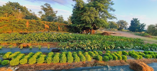 Le Maraîcher du Vivant, Primeur Fruits et Légumes à Varenne-Saint-Germain