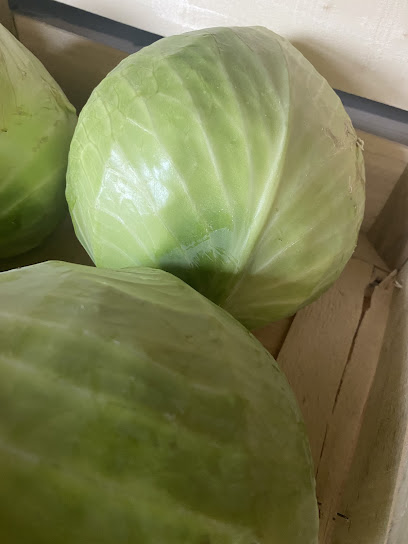 Au Panier D'andrea Primeur - Fruits Et Légumes à Flines-lez-Raches