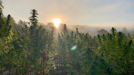 Fleur De L'Est - CBD En Permaculture, Primeur Fruits et Légumes à Rosbruck