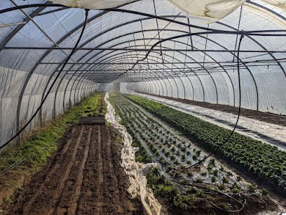 EARL La Ferme De Marlaine, Primeur Fruits et Légumes à Têche