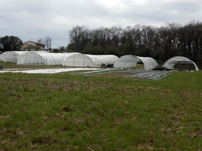 Ferme de Marou, Primeur Fruits et Légumes à Lacaugne