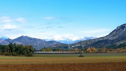 GAEC aux Champs des Cougourdes, Primeur Fruits et Légumes à Vaumeilh