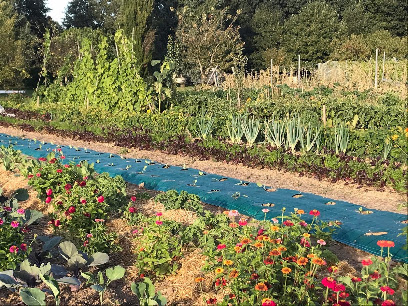La Botte Aux Champs, Primeur - Fruits Et Légumes à Villexavier