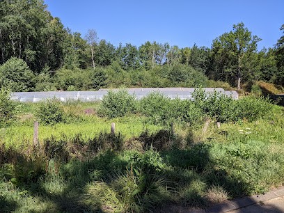Au Potager De Touques, Primeur Fruits et Légumes à Lombron