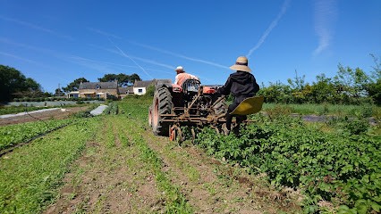 Le Jardin De Kerblaye, Primeur Fruits et Légumes à Locoal-Mendon