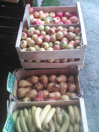 Les Jardins De Grand Lieu Maraicher Bio, Primeur Fruits et Légumes à Saint-Aignan-Grandlieu