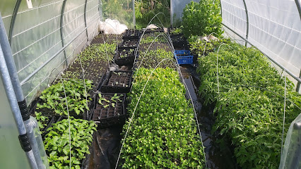 La Ferme Du Lieudit Primeur - Fruits Et Légumes à Mortain-Bocage