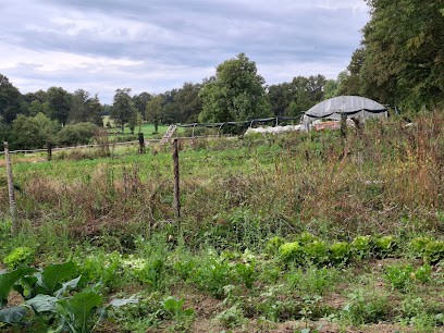 Les Jardins d'Iriès, Primeur Fruits et Légumes à Saint-Yrieix-sous-Aixe