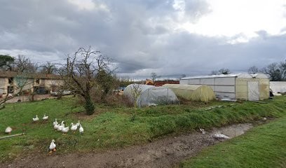 Les Serres Du Verdet, Primeur Fruits et Légumes à Montans