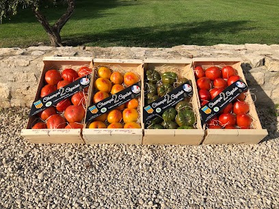 Maraîchers De La Vallée Des Baux De Provence, Primeur Fruits et Légumes à Saint-Andiol