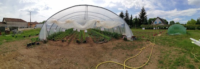Legumes Nath'urels, Primeur Fruits et Légumes à Optevoz