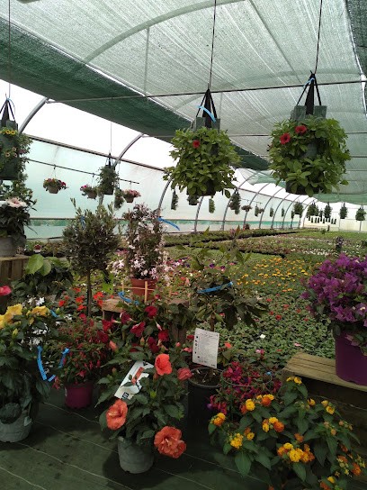 Maraîchage les Gileres, Primeur Fruits et Légumes à Saint-Coutant